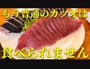 高知で日本一の鰹を食べたらもう普通の鰹を食べられなくなりました。久礼大正町市場の田中鮮魚店で獲れたて新鮮の鰹を頂きます