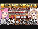 猫に名前を付けて飼うも、入り口を塞がれて猫にキレてしまうルーナ姫【姫森ルーナ/尾丸ポルカ/ホロライブ切り抜き】
