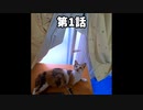 【ショート】僕が子猫が生まれると思った理由 第1話