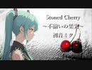 Stoned Cherry～不揃いの果実～ ／初音ミク【1枚絵動画投稿祭参加作品】