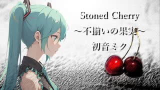 Stoned Cherry～不揃いの果実～ ／初音ミク【1枚絵動画投稿祭参加作品】