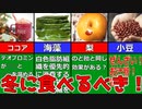 【ゆっくり解説】冬に食べるべき食品について解説！後編