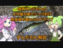 【ずんだもん解説】限界ずんだもんの大分県方面アジング釣行。熊本県方面からのドライブ【2023.11.28-29】