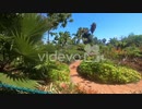 Passing by the tidy park with many types of plants and palm trees and walking path