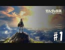 百年の眠りから目覚めた　【ゼルダの伝説ブレスオブザワイルド】#1