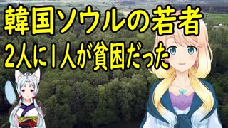 日本は国は金持ちだけど国民は貧乏だと主張している韓国さん、ソウルの若者二人に一人が貧困状態だった事が判明【世界の〇〇にゅーす】