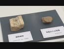 国内最古級か　吉野ヶ里遺跡の「謎のエリア」で見つかった出土品を一般公開