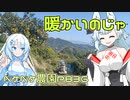 2023年12月7日　農作業日誌P836　今日は出稼ぎ先で青島ミカンをたくさん切ったらしい　