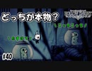 2分の1はハズレで襲ってきます　[Hollow Knight]