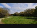 【実況探索2023】茨城県 美浦村の神社巡り【#13】