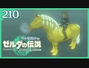 #210【ゼルダの伝説ティアーズオブザキングダム】ちょっと世界を翔けてくる【実況プレイ】