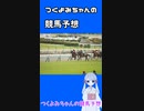 【2023阪神ジュベナイルフィリーズ】つくよみちゃんの競馬予想12/10