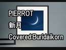 【歌ってみた】新月／PIERROT Cover