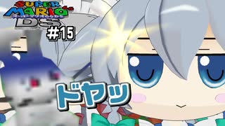 【ゆっくり実況】やりたい放題のスーパーマリオ64DSPart15