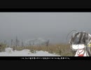 凍てつく北の大地のゆめうさぎ？