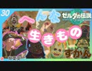 【ゼルダの伝説TotK】自称ゼルダのプロ葵ちゃんは、広大な世界も楽々救ってみせます！#30