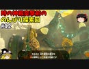 【ゆっくり実況】5度目のゼルダ！ 初めてのティアーズオブザキングダム！ part12 【ティアーズオブザキングダム】