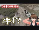 【Geo Guesser】地図で遊ぶゲーム！第22回