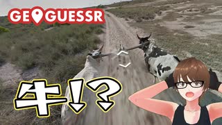 【Geo Guesser】地図で遊ぶゲーム！第22回