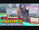 【ウエストブックステーブル】超良血のお嬢様ガレットデロワの2023の生後半年の姿