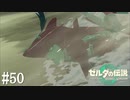 【ゼルダの伝説 Tears of the Kingdom】空に行くんじゃないの？【実況】#50