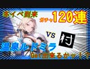 【冬イベ到来】温泉ルドミラ120連【ゲット出来るかッ⁉】