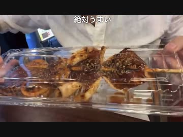ムサシのグルメ「上野アメ横にて絶品ジャンボイカ焼きを喰らう！」