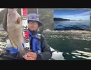 【３時ニコ生録画】2023/12/09 08:00 ドライブ＆カヤック釣り配信