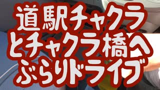 道の駅茶倉駅の茶倉橋見物ドライブツーリング