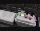 ①プラスチックBOXが白くなったのでシリコンスプレーとシリコーンでどこまで出来るかやってみる。実験