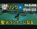 リンク聖火ランナーになる？【ゼルダの伝説 ブレス オブ ザ ワイルド】PART 33