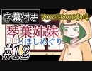 【字幕付き】琴葉姉妹とほしめぐり【VOICEROID劇場】#12