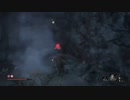【SEKIRO】初見プレイを実況してみた（実況できてるとは言ってない）part61
