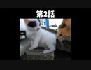 【ショート】僕が子猫が生まれると思った理由 第2話
