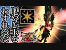 【MHXX】こやし玉を忘れたとき、神ゲーがクソゲーにかわる【モンスターハンターダブルクロス】part114「G級編」
