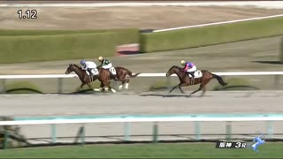 ペプチドシュチク　阪神・2歳未勝利　2023年12月9日