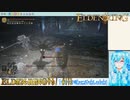 【実況】ELDEN RINGやる！【113】