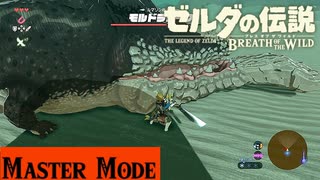 【実況】肝よこせ【ゼルダの伝説 ブレスオブザワイルド】＃11