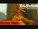 【実況】君の成長した姿を知ってるよ【ゼルダの伝説 ブレスオブザワイルド】＃12