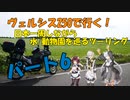 ヴェルシス250で行く日本一周しながら水/動物園を巡るツーリング、ぱーと6