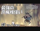 レオタードを履いた最強の爪楊枝使い　[Hollow Knight]