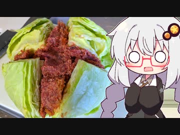 あかりさんのお料理教室！ #ドボン鍋！【ソフトウェアトークキッチン】