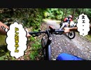 「買ってから1000km超えたので林道行く」クロスバイクで林道行ってみた！（KhodaaBloom RAIL DISC）
