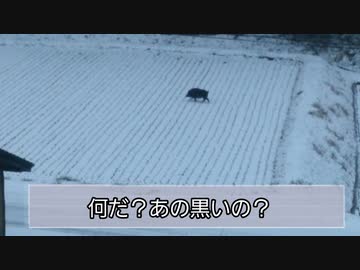 淫夢想起談「知らぬと仏」