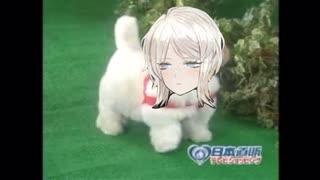 愛犬ロボ「ファウスト」