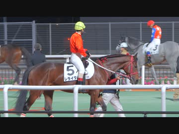 【リアルダビスタ】2023年12月9日 レライタム 2戦目 ひばり特別