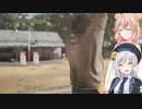 【The Texas Chain Saw Massacre】一応ナーフされた南京ハゲ（彩澄りりせ＆しゅお実況）