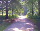 【車載動画】Vadoを自転車にのっけてみた