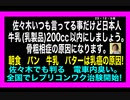 23・12・9夜　栄養指導牛乳激推し！病院は骨粗相症製造機なり！