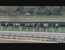 2023年12月10日　阪神3R　2歳未勝利　オベイユアマスター